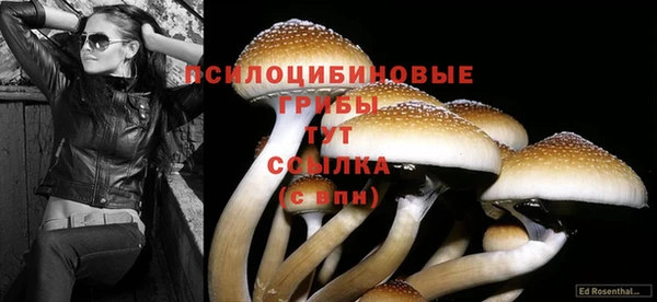 МДПВ Надым